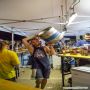 20170730_01-37-48_IMG_3708